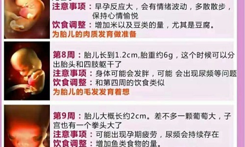 酸蜂的功效网 - 为你提供酸蜂的功效与作用、酸蜂介绍